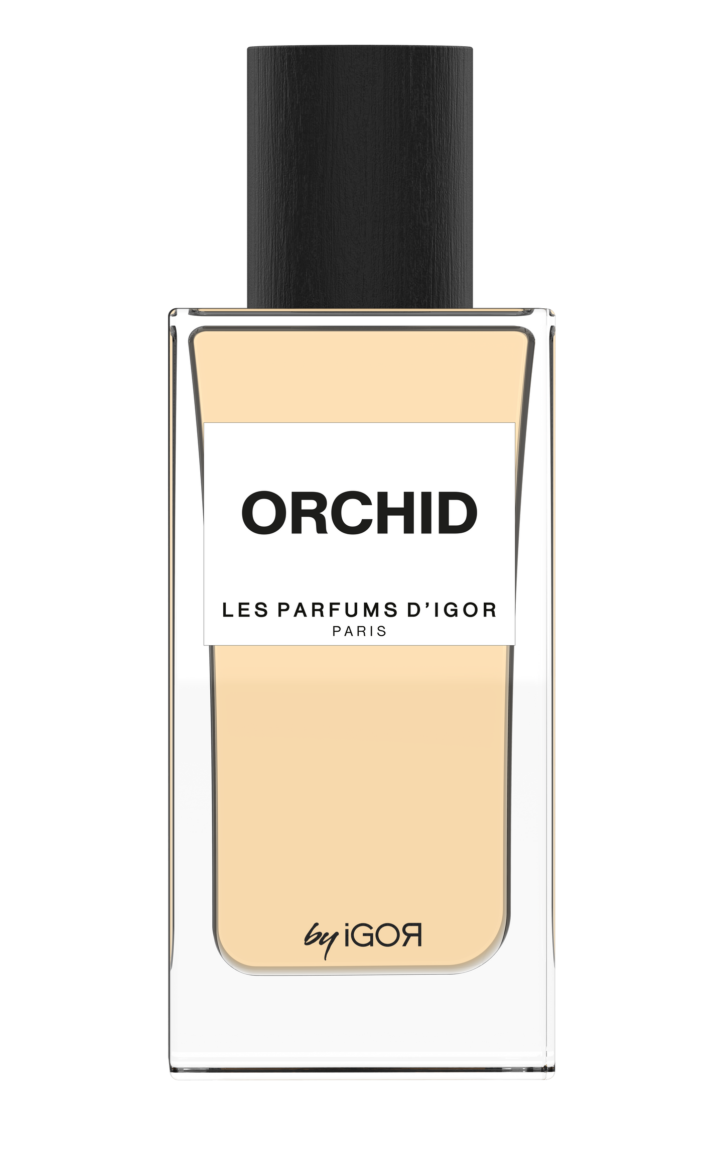 Orchid